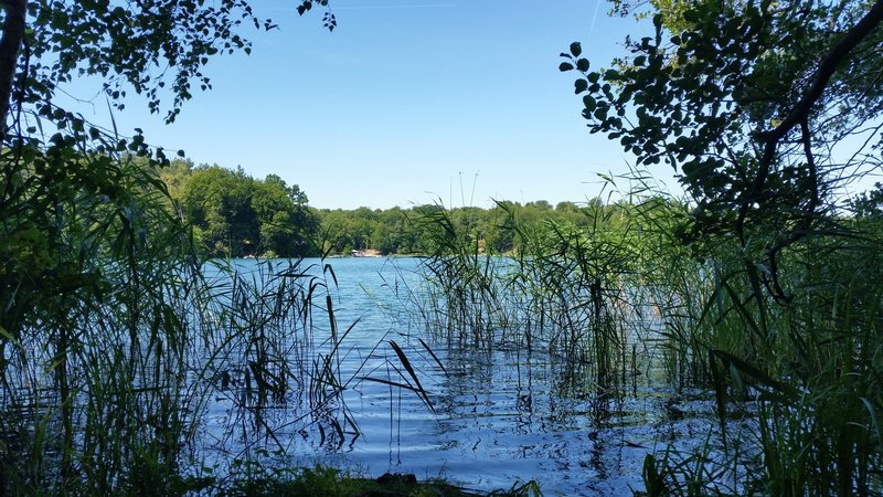 Lake Forest Liepnitzsee Brandenburg – Bild: CC0 Public Domain Lake Forest Liepnitzsee Brandenburg – Bild: CC0 Public Domain