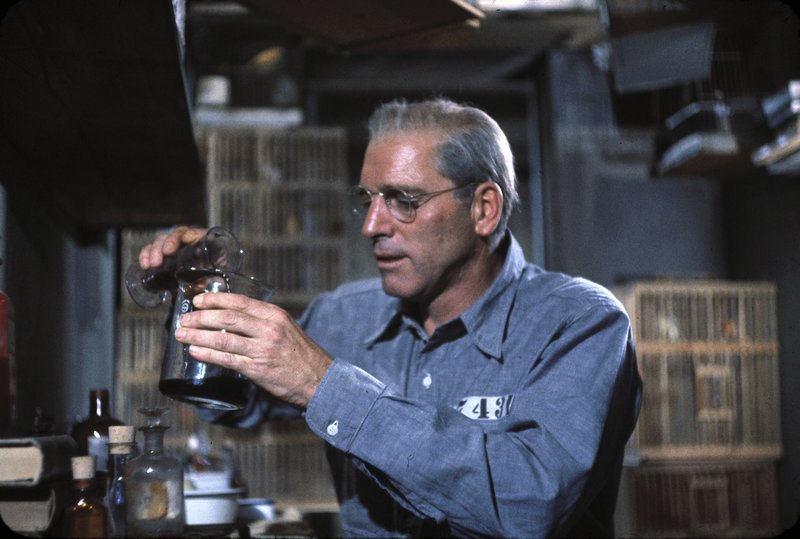 Der Gefangene von Alcatraz – Bild: ZDF und Denis Cameron