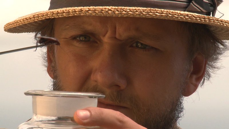 Während seiner fünfjährigen Reise um die Welt sammelt Darwin (Jonas von Lingen) wie ein Besessener. Säugetiere, Insekten, Mineralien, Pflanzen, Fossilien – kaum etwas entgeht seiner Neugier. – Bild: ZDF und Manfred Pelz Während seiner fünfjährigen Reise um die Welt sammelt Darwin (Jonas von Lingen) wie ein Besessener. Säugetiere, Insekten, Mineralien, Pflanzen, Fossilien – kaum etwas entgeht seiner Neugier. – Bild: ZDF und Manfred Pelz