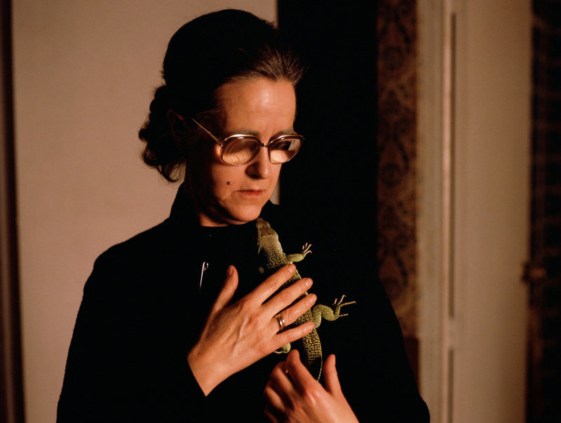 Womit hab' ich das verdient? – Bild: eoTV