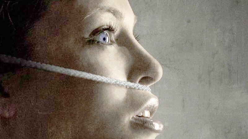 The Binding – Bild: Silverline