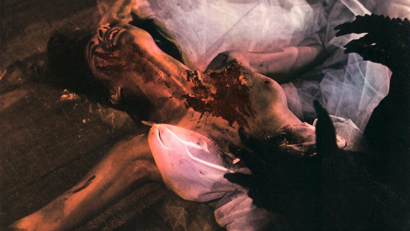 The Loreley's Grasp – Bild: Silverline