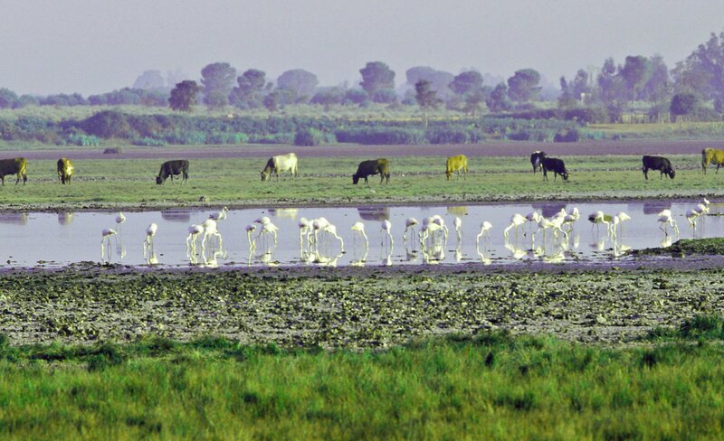 Andalusien - Land zwischen Himmel und Hölle – Bild: ORF