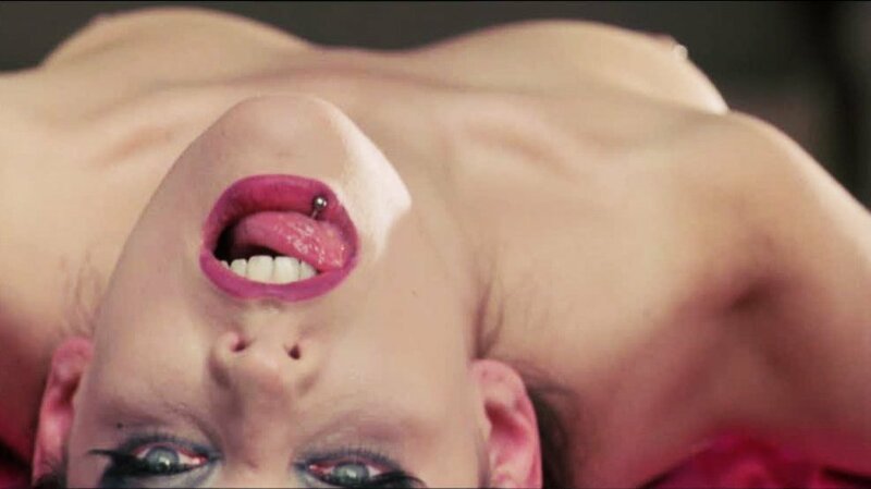 Preaching to the Perverted – Bild: Silverline