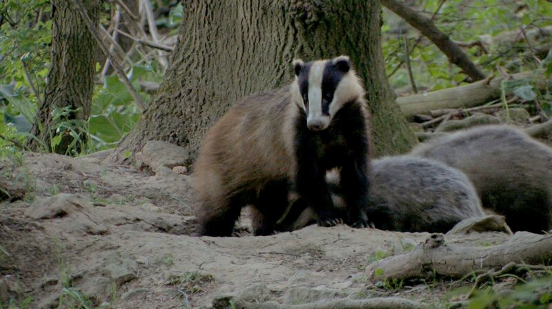 Räuber in Westfalen – Bild: WDR/​Längengrad Filmproduktion