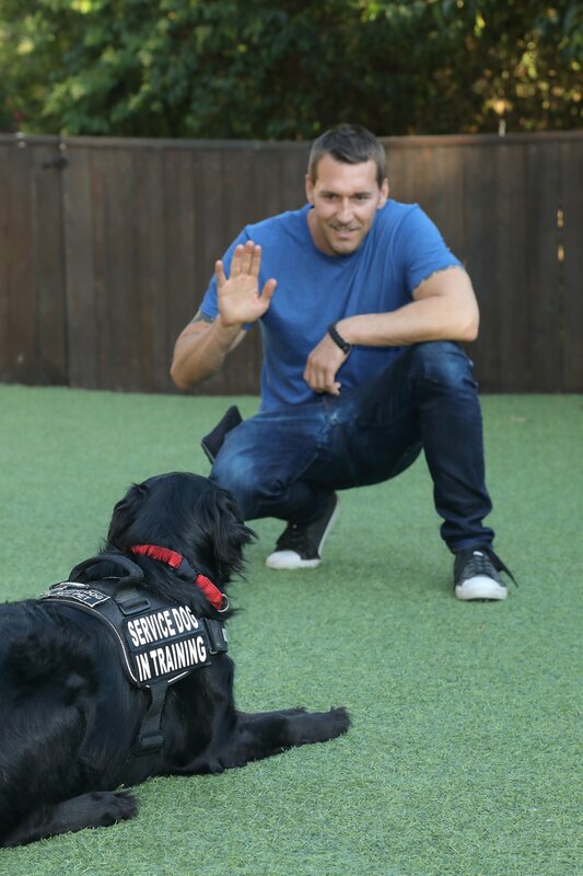 Der Hundetrainer Brandon Der Hundetrainer Brandon