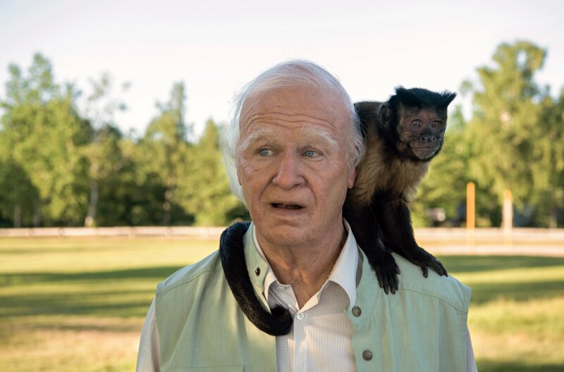 Der Hunderteinjährige, der die Rechnung nicht bezahlte und verschwand – Bild: ARD Degeto/​BR/​Tele-München