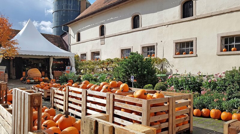 Der Hitscherhof bei Maßweiler ist im Herbst mit Kürbissen dekoriert – Bild: SR/​Ute Werner