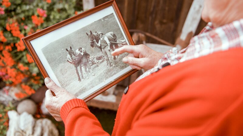 Almleben auf der Gerlitzen – Bild: ORF