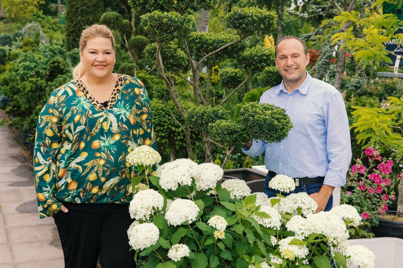 Ran an den Rasen Das Gartenduell S01E06 Folge 6 fernsehserien.de