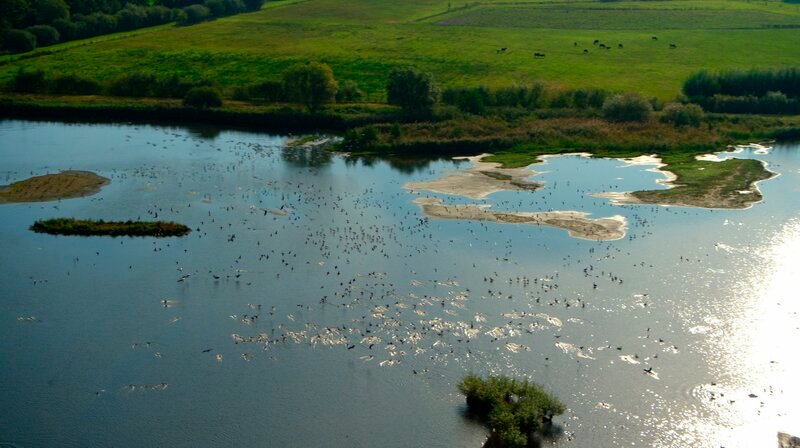 Die Bislicher Insel bei Xanten fliegen im Herbst viele Zugvögel als Zwischenstation an. – Bild: WDR/​2pilots Filmproduktion