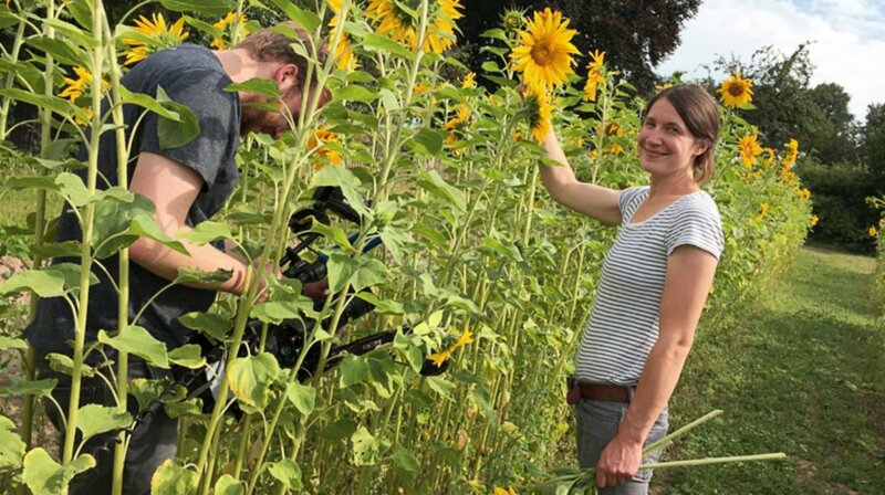 Bio-Bäuerin sucht Zukunft – Bild: HR