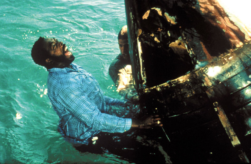 Shark Attack – Bild: DMB