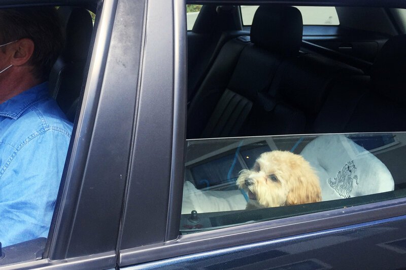 Edi 2020
«Edi» ist fast nie ohne sein Hund Archie unterwegs.
SRF – Bild: SRF2