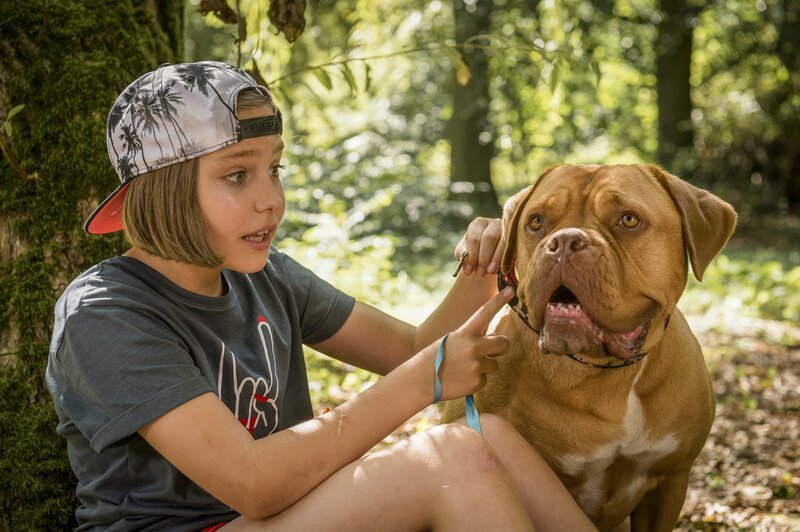 Hanni Sullivan (Laila Meinecke) macht die Bekanntschaft von Lochness, dem Hund von Godehard von Knigge. – Bild: ZDF