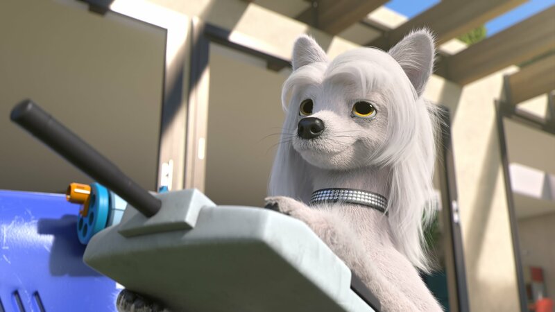 Skygo log in internet explorer