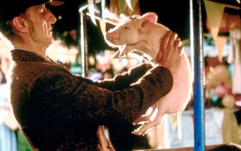 „Ein Schweinchen Namens Babe“ Im Bild: James Cromwell. – Bild: ORF/​-. Andere Verwendung