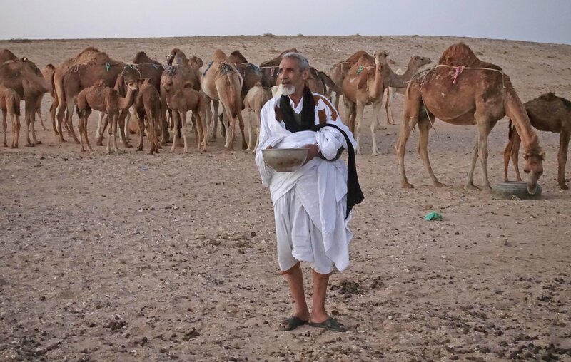 Männer der Wüste – Bild: SWR/​Lars Barthel/​Seppia Film