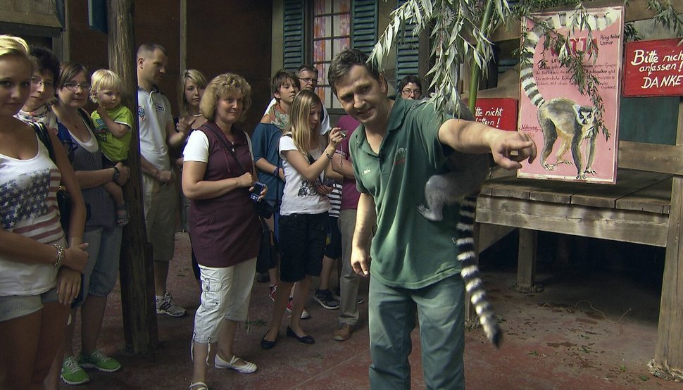 Leopard, Seebär & Co. S04E28 Die Zebrageburt / Affentheater bei den Pavianen Leopard, Seebär & Co. S04E28 Die Zebrageburt / Affentheater bei den Pavianen