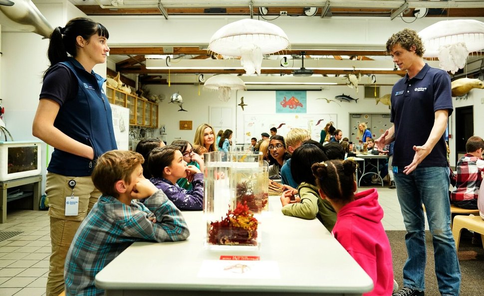 Big Little Lies Nombre De Saisons Big Little Lies Saison 2 Nombre Episode - illpie
