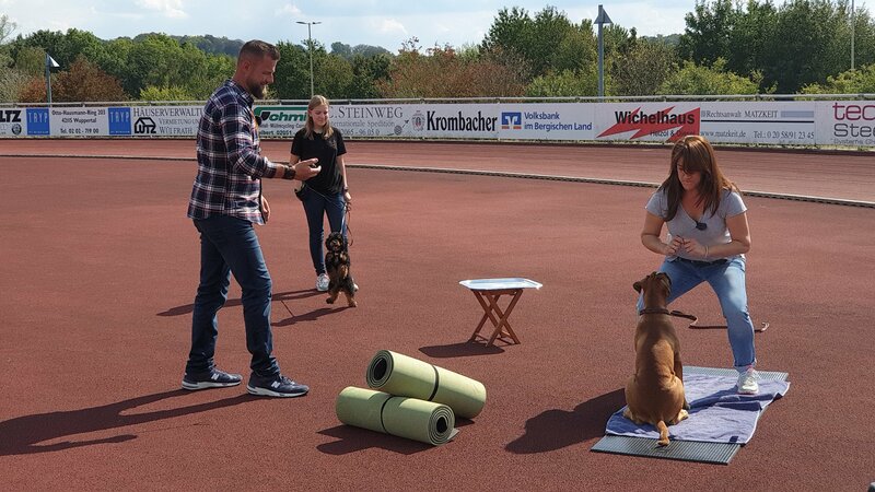 Der Welpentrainer Auf Die Pfoten Fertig Los Der Welpentrainer – Auf die Pfoten, fertig, los! 05: Hundesjugendspiele