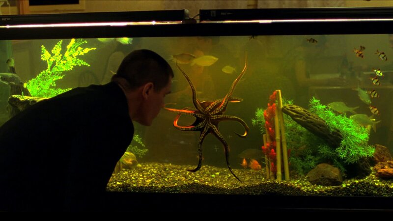 Oldboy – Bild: ZDF und Hilary Bronwyn Gayle