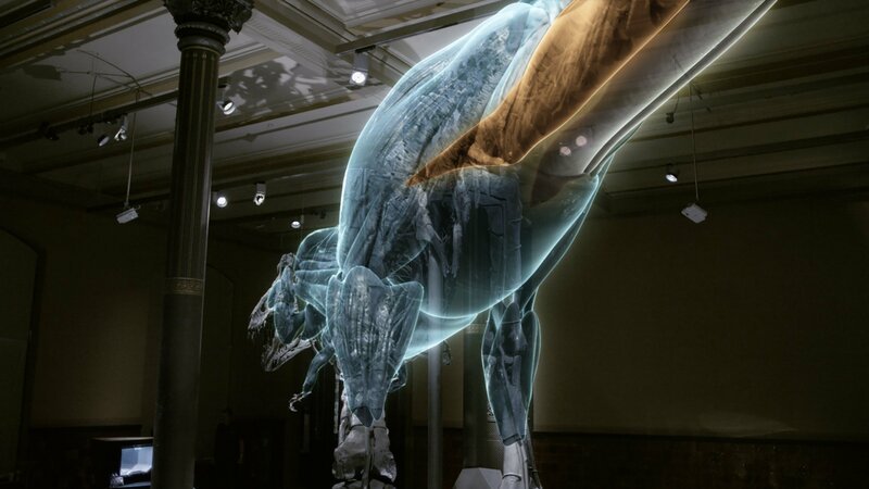 Muskeln eines Tristan T-Rex – Bild: Geo Television /​ Talesmith