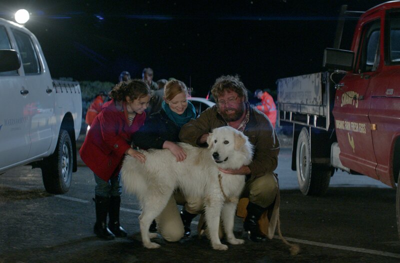 Oddball - Retter der Pinguine – Bild: WDR/​Greg Noakes