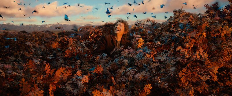 Auf den Baumkronen sitzend, schaut der Finsterwald für Bilbo (Martin Freeman) gar nicht mehr so düster aus. Vielleicht schaffen er und die Zwerge es ja doch, bis zum bösen Drachen Smaug vorzudringen und ihn zu besiegen… – Bild: Puls 4 Auf den Baumkronen sitzend, schaut der Finsterwald für Bilbo (Martin Freeman) gar nicht mehr so düster aus. Vielleicht schaffen er und die Zwerge es ja doch, bis zum bösen Drachen Smaug vorzudringen und ihn zu besiegen… – Bild: Puls 4