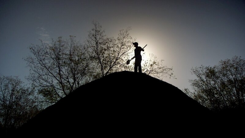 Im Einsatz für das Kubakrokodil – Bild: 3sat