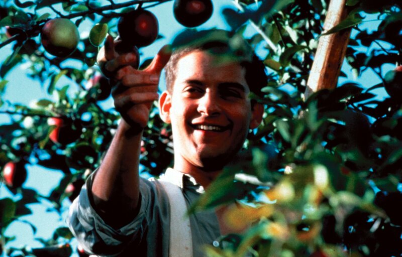 Gottes Werk und Teufels Beitrag – Bild: Studiocanal