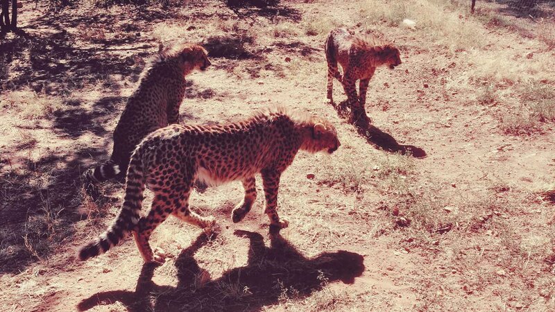 Unwirkliche staffel 1 folge 4