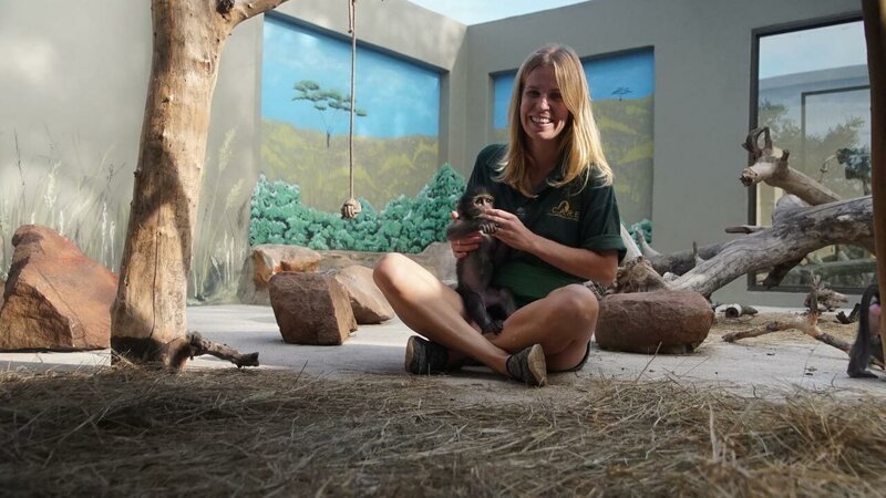 Raising Wildlife Aufzucht In Der Wildnis Staffel 1 Episodenguide Fernsehserien De