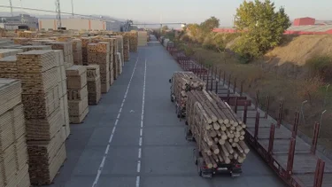Holztransport-Lkw bringt Stämme in eine Fabrik in Rumänien zur Verarbeitung. – Bild: ZDF und Manfred Karremann. Holztransport-Lkw bringt Stämme in eine Fabrik in Rumänien zur Verarbeitung. – Bild: ZDF und Manfred Karremann.