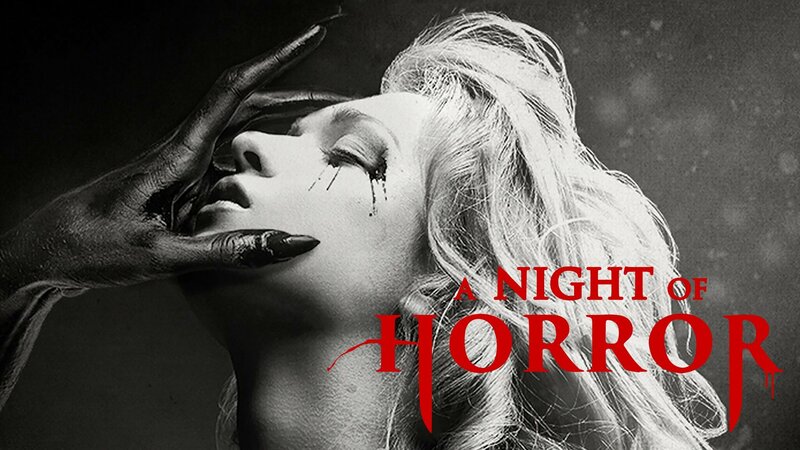 A Night of Horror – Bild: Silverline