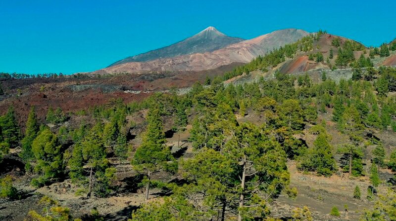 Blick auf den Teide Nationalpark. – Bild: HR/​Gerhard Amm