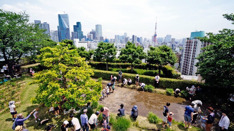 Ein Reisfeld auf dem Dach? In der 38 Millionen Metropole Tokio wird jeder verfügbare Platz genutzt. – Bild: BR Fernsehen