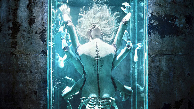 The Collection – Bild: Silverline