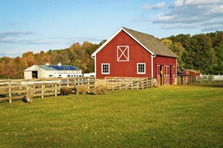 A red barn and farm animals – Bild: Depositphotos / Andrew F. Kazmierski A red barn and farm animals – Bild: Depositphotos / Andrew F. Kazmierski