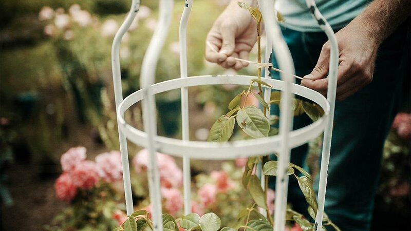 GartenKULT S01E03: Der Rosengarten – fernsehserien.de