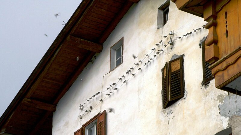 Südtirol - Rund um den Ortler – Bild: ORF/​Verlagshaus Hans Jöchler