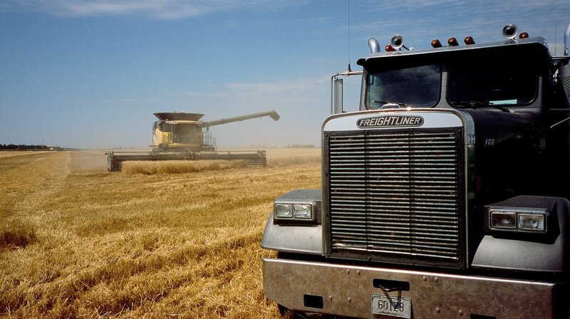 Custom Harvester haben sich auf das Ernten fremder Weizenfelder spezialisiert. Von Texas bis an die kanadische Grenze. – Bild: BR/​NDR/​Volkert Schult