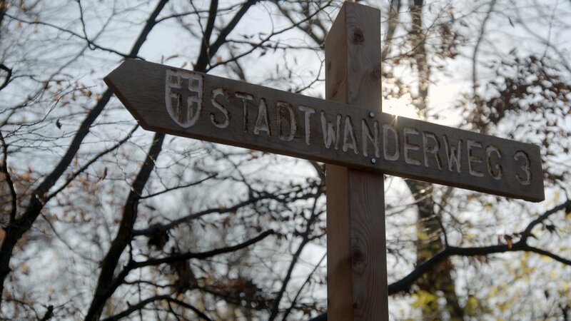 Waldstadt Wien – Bild: ORF/​ORF-Wien