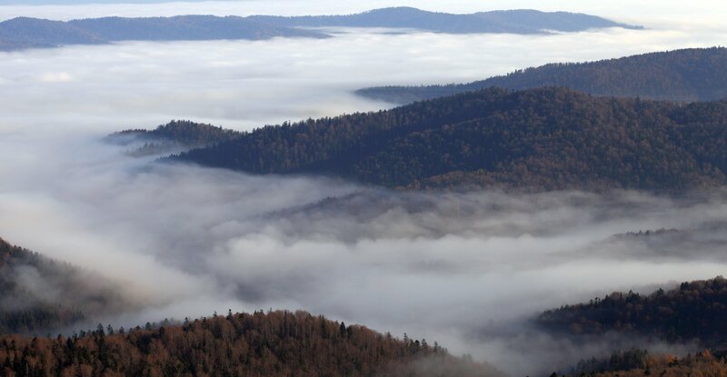 Im Wolfsgebirge der Ostkarpaten – Bild: MDR/​JOZEF FIALA/​KAROL KALISKÝ/​GABRIEL LIPTÁK/​VLADIMÍR ŠIFRA
