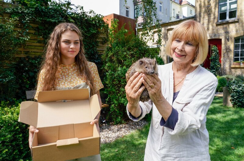 Tierärztin Dr. Mertens S07E04 Keine Kompromisse fernsehserien.de