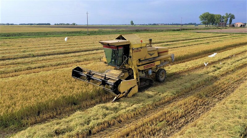 Die Emilia Romagna wird auch gern als der „Bauch Italiens“ bezeichnet. Hier soll das beste Essen des Landes herkommen, unter anderem auch der berühmte Risotto-Reis, der im September geerntet wird. – Bild: NDR/nonfictionplanet/Forian Melzer Die Emilia Romagna wird auch gern als der „Bauch Italiens“ bezeichnet. Hier soll das beste Essen des Landes herkommen, unter anderem auch der berühmte Risotto-Reis, der im September geerntet wird. – Bild: NDR/nonfictionplanet/Forian Melzer