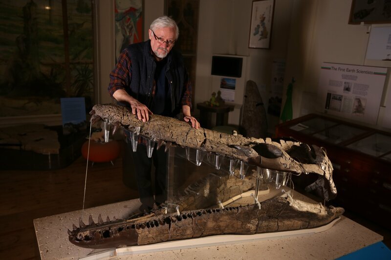 UrzeitRiesen Top Ten Mega Monster (Top 10 Biggest Beasts Ever