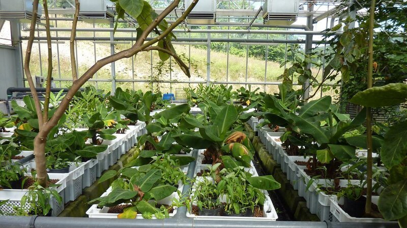 . – Bild: ANIXE HD