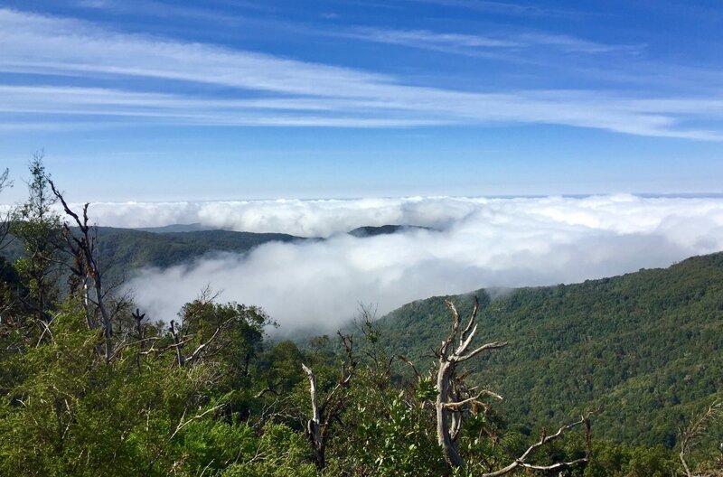 La Gomera – Bild: ZDF und HR/​Monika Birk.