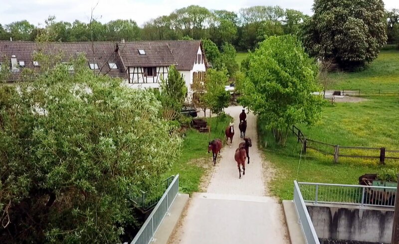 Mühlenträume zwischen Eifel und Schwarzwald – Bild: SWR